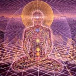 incarnate soul body
