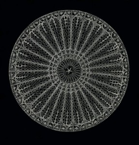 Radiolarian Skeleton