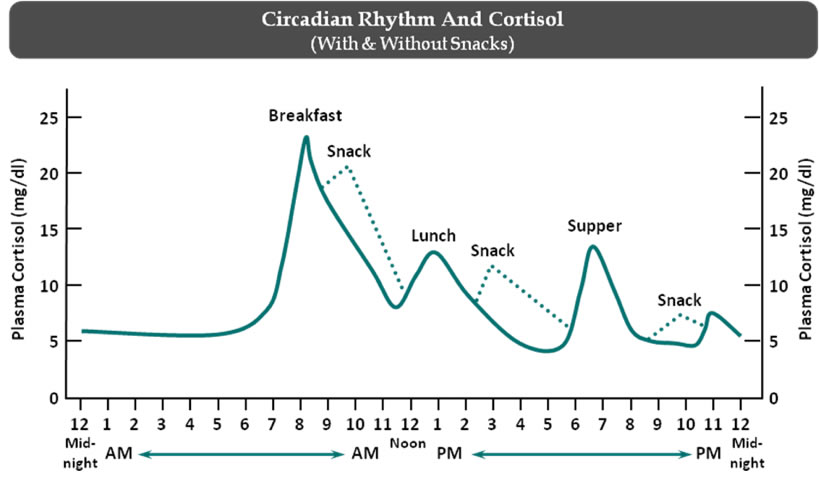 circadian cortisol sleep hack