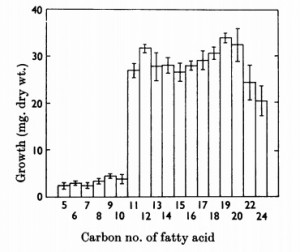 Malassezia eczema carbon length skin