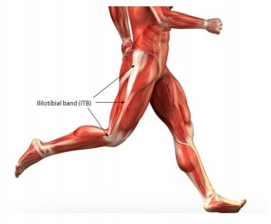 Iliobital tract